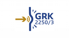 Logo des GRK 2250